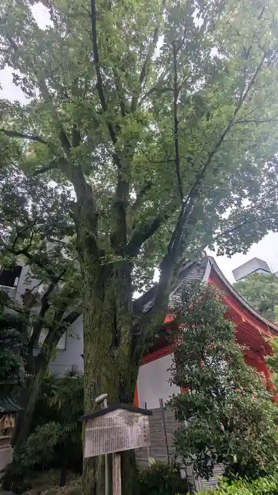 安井金比羅宮(京都府)