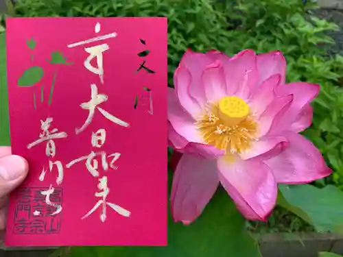 普門寺(切り絵御朱印発祥の寺)の御朱印