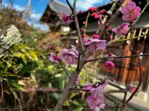總神社(京都府)