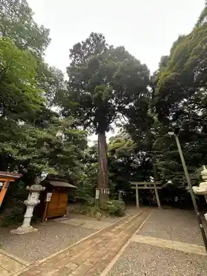縣神社(千葉県)