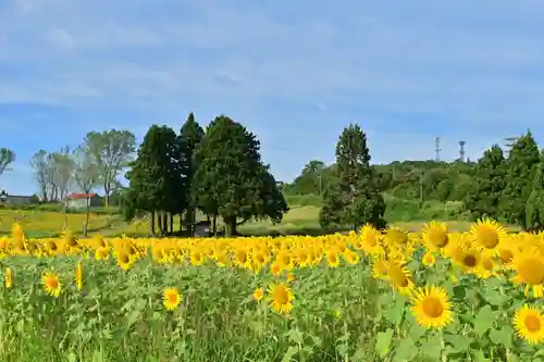 沢山神社（澤山神社)の自然