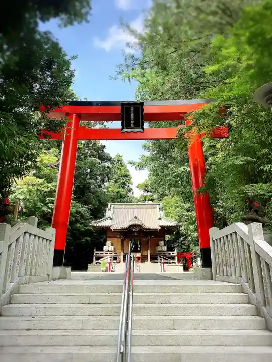 白笹稲荷神社の鳥居