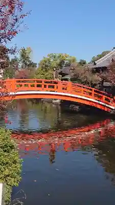 神泉苑のその他建物