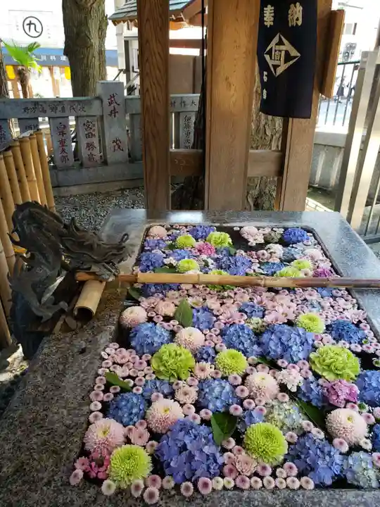 高円寺氷川神社(東京都)