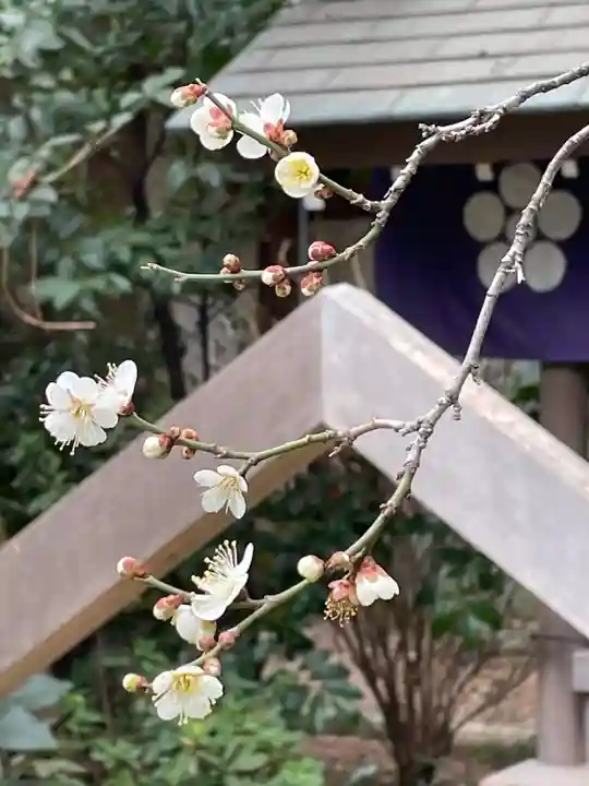 阿佐ヶ谷神明宮の自然