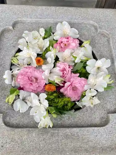 大松禅寺(京都府)