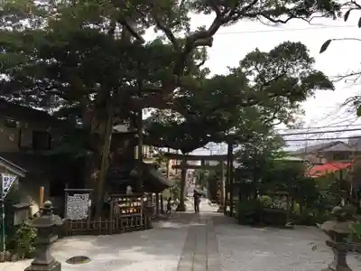 御霊神社の手水舎