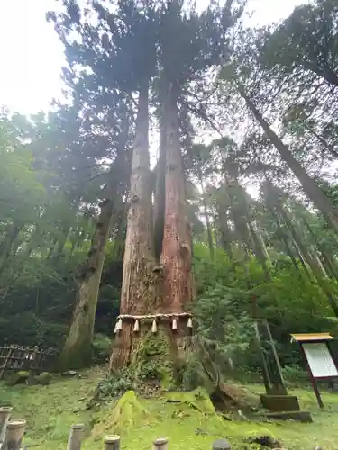 御岩神社(茨城県)