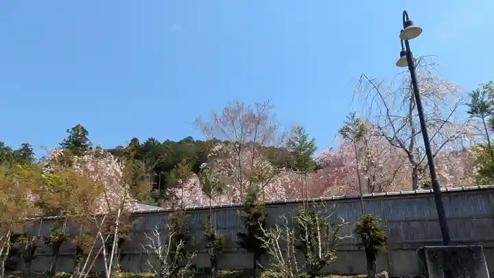 圓光寺(京都府)