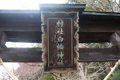 白幡神社の鳥居