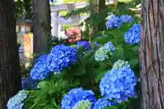 隠津島神社の庭園