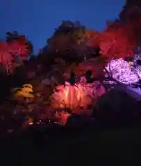 金蛇水神社(宮城県)