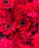 札幌諏訪神社の手水舎