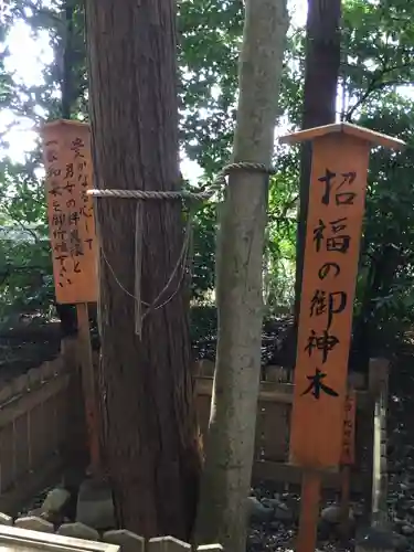 櫛田神社の自然