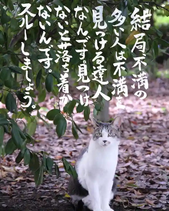 専念寺(大阪府)