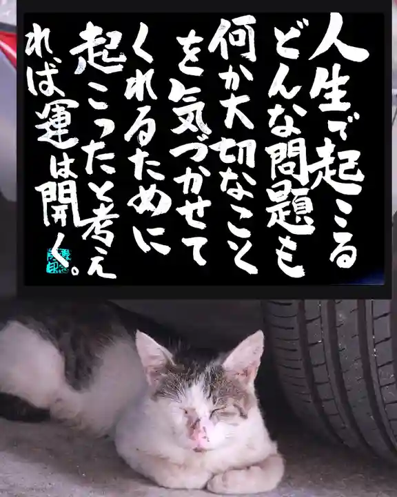 専念寺(大阪府)