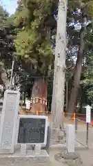 息栖神社の建物その他