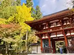 室生寺の山門