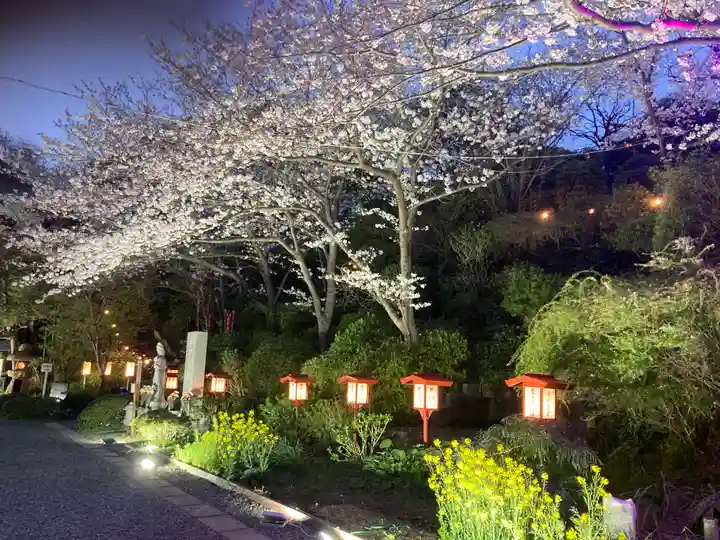 大船観音寺(神奈川県)