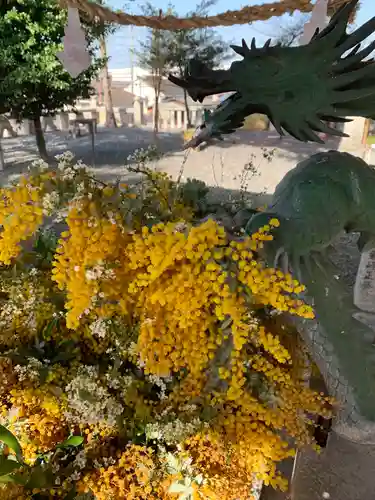 西宮八幡宮の自然