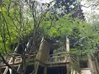 三瀧寺(広島県)