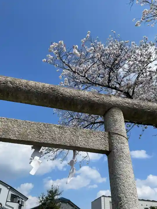稲荷神社(埼玉県)