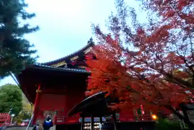 清水観音堂(東京都)