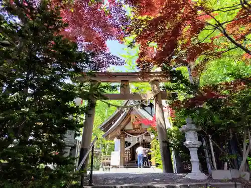 平岸天満宮・太平山三吉神社の鳥居