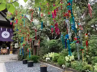 東京大神宮のお祭り