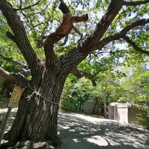 相馬神社の自然