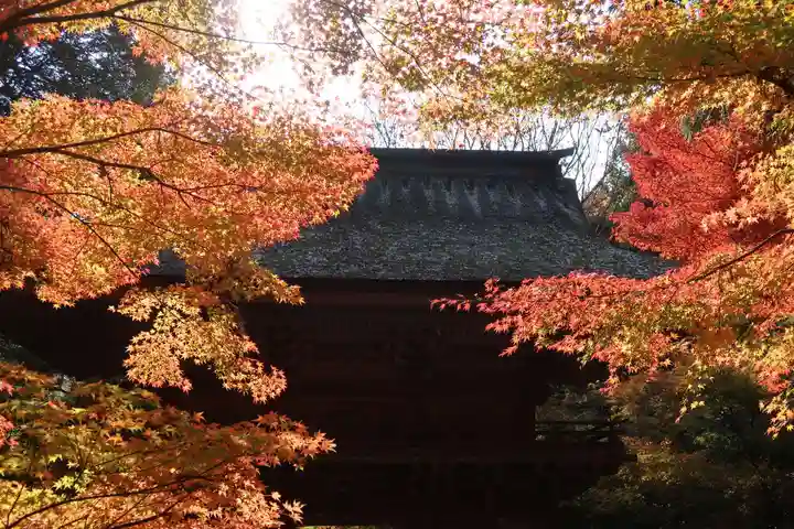 大矢田神社(岐阜県)