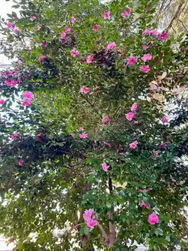 神明大神宮(神奈川県)