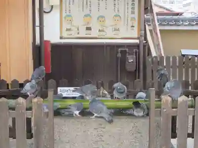 壬生寺(京都府)