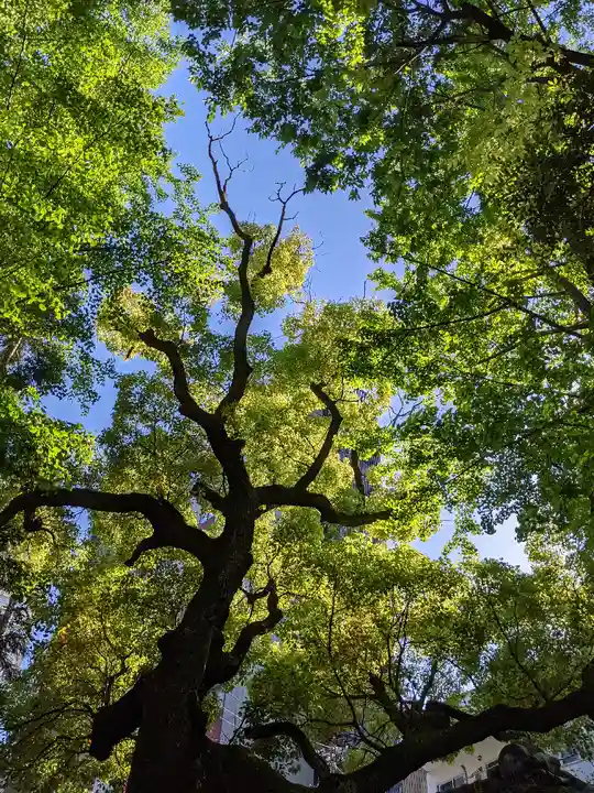神明社(愛知県)
