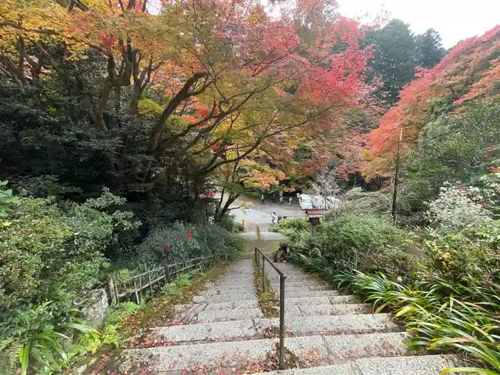 日向大神宮(京都府)