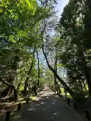 鶴嶺八幡宮(神奈川県)