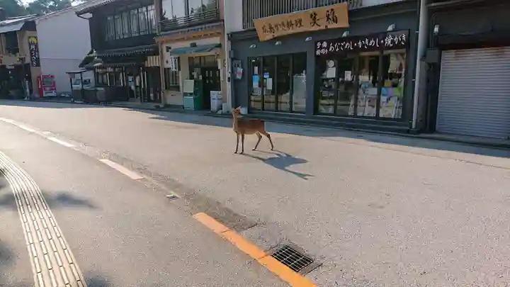 厳島神社の周辺