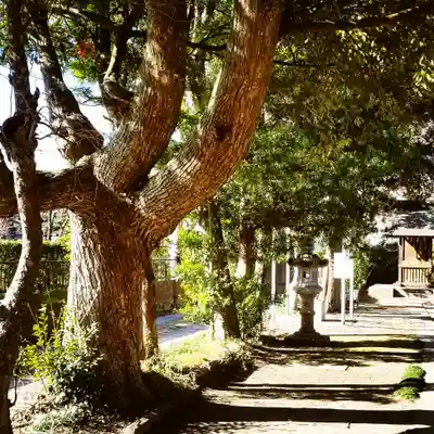 鎌足神社のその他建物