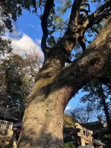 事任八幡宮(静岡県)