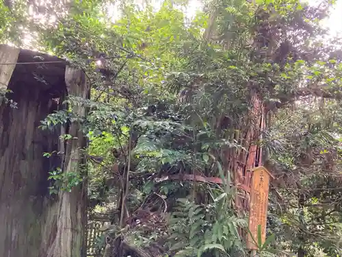 香取神宮(千葉県)