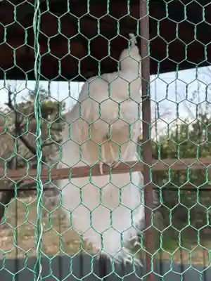 進雄神社の動物
