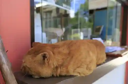 南法華寺（壷阪寺）(奈良県)