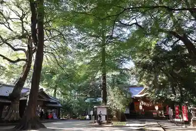 氷川女體神社(埼玉県)