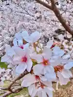 井伊谷宮(静岡県)