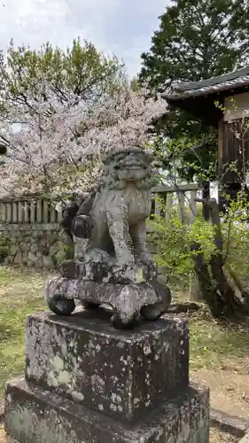 國鉾神社の狛犬