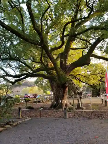 諫早神社（九州総守護  四面宮）の建物その他