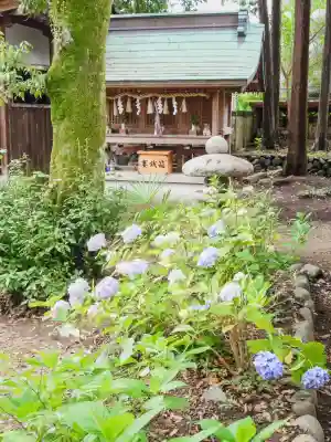 新宮八幡神社(兵庫県)