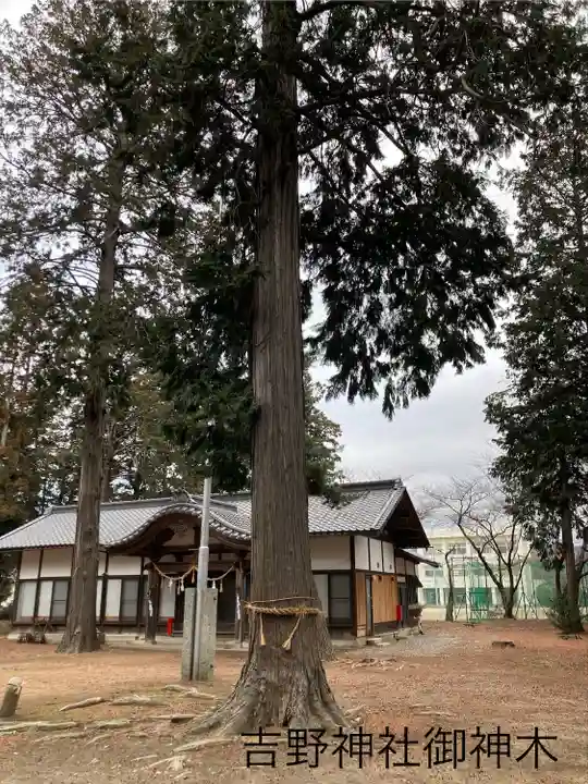 吉野神社(長野県)