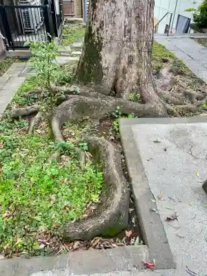 子神社(神奈川県)