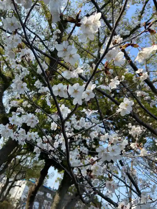 日吉神社の自然
